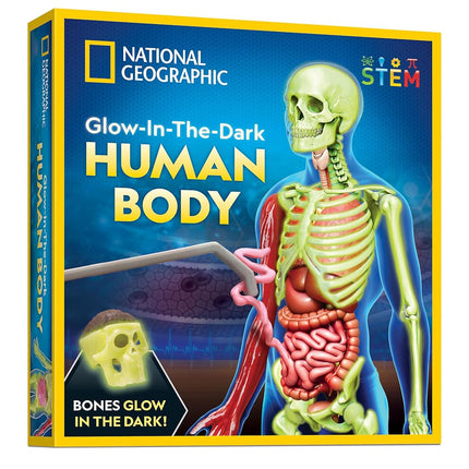 National Geographic Human Body Model for Kids That Glows in The Dark - 32-Piece Interactive Anatomy Model with Bones, Organs, Muscles, Science Kit Stocking Stuffer, Anatomy & Physiology Study Tools