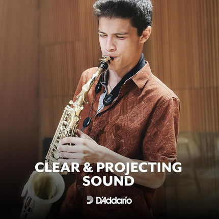 Anches de saxophone alto D'Addario Rico, force 2, emballées individuellement, paquet de 25
