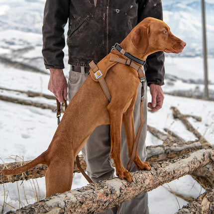 Carhartt Nylon Duck No Pull Dog Harness Port S