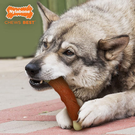 Nylabone Meaty Rib Alternative Dog Chew Toy, Beef