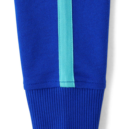 The Children's Place Boys' Full Zip Long Sleeve French Terry Hoodie, Renew Blue, Medium