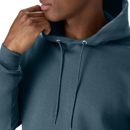 Hanes Men's Ecosmart Hoodie, Midweight Fleece Sweatshirt, Pullover Hooded Sweatshirt for Men, Metallic Teal, L