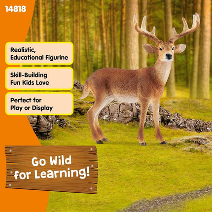 Schleich Wild Life - White-Tailed Buck Toy Figurine - Kids Ages 3+ | 14818