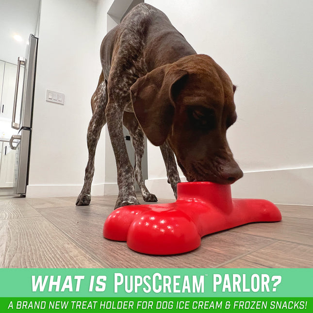 GoSports Pets PupsCream Parlor - Soporte antideslizante para helados y premios congelados para perros - Alternativa sin desorden a la alfombrilla para lamer, incluye 6 vasos y tapas reutilizables