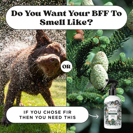 Poo-Pourri Furrest Fresh 8oz Dog Coat Deodorizing Spray – Plant Derived Ingredients – Vet Recommended – Paraben & Sulfate-Free - Grooming perfume Spray for Dog Odor – Fir, Amber, & Cedarwood Scent