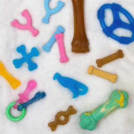 Nylabone Gentle Puppy Dog Teething Chew Toy Bone, Chicken Flavour, Extra Large, for Puppies 23 kg+ (Packing May Vary).
