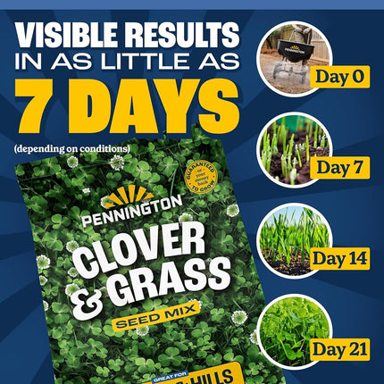 Pennington 100547419 Smart Seed Clover and Grass Mix 7 lb, Black Label
