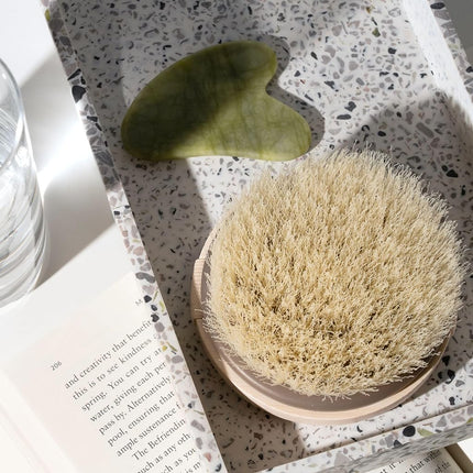 EcoTools Dry Body Brush, 1 Count