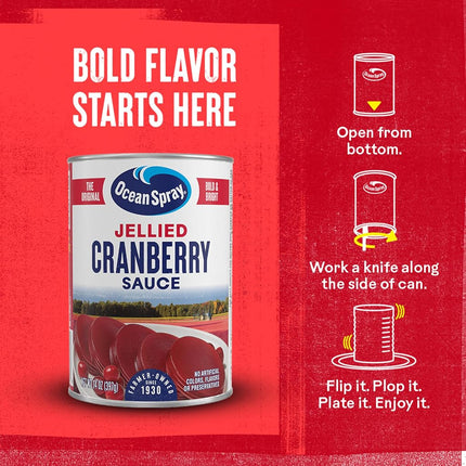 Ocean Spray Jellied Cranberry Sauce 397g