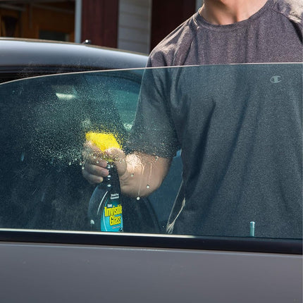 Invisible Glass 92164 Premium Glass Cleaner for Window, Windscreen and Mirrors, 643 ml, 22 Ounce