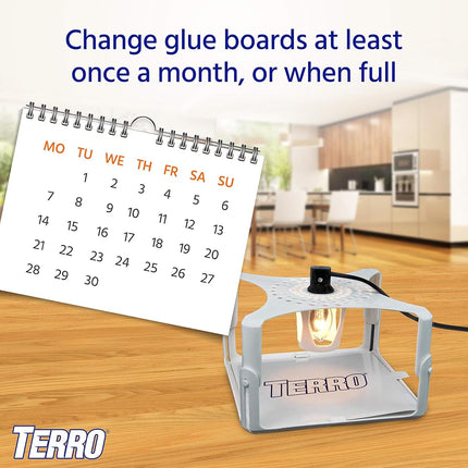 Terro T231 Flea Trap Refill Pack, White