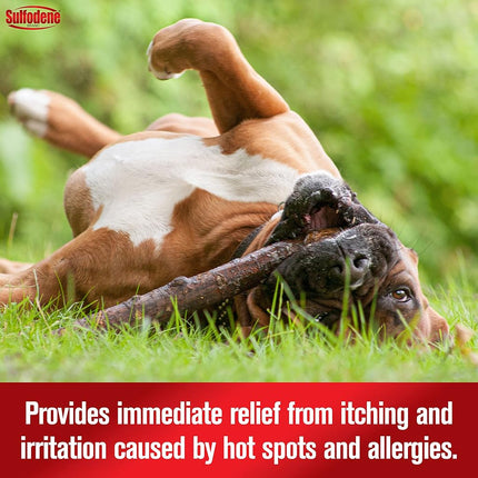 Sulfodene Medicated Hot Spot & Itch Relief Spray for Dogs, 8 oz