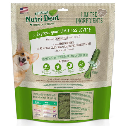 Nylabone Nutri Dent Fresh Breath 160Count Box