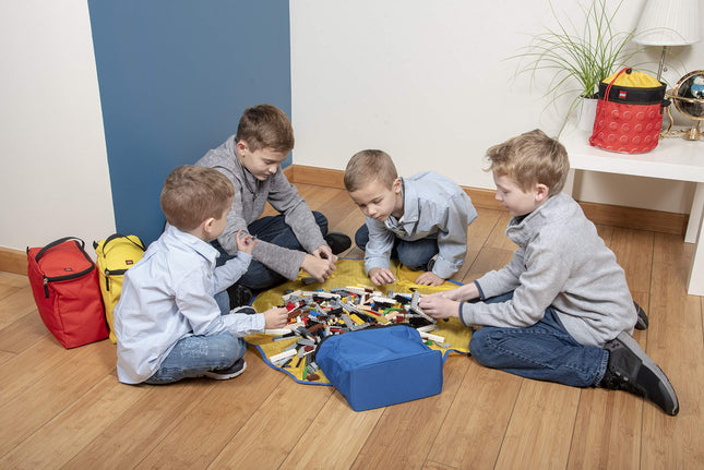 LEGO 4-Piece Organizer Tote, Multi, One Size, 4-piece Tote and Play Mat