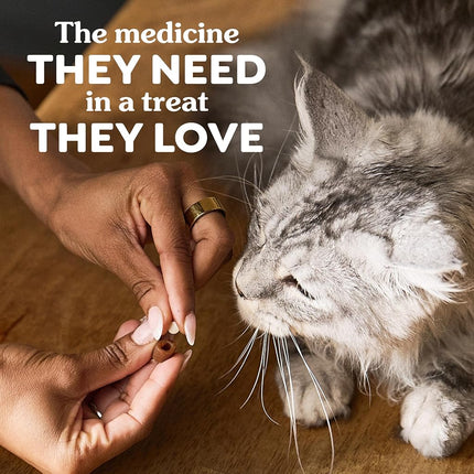Greenies Feline Pill Pocket Easily Administer Cat Medication Salmon Flavor45 Ct