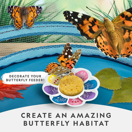 Kit d'élevage de papillons NATIONAL GEOGRAPHIC – Kit d'habitat de papillons avec bon pour échanger 5 chenilles (10,95 $ de frais de port non inclus), cage à papillons, mangeoire (exclusivité Amazon)