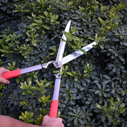 Corona HS15150 ClassicCUT Hedge Shears, 10-Inch, Red