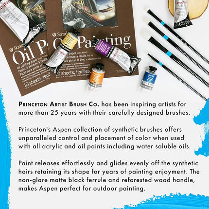Princeton Aspen, Glare-Free Indoor/Outdoor Brush for Acrylic & Oil, Series 6500 Round Synthetic, Size 2/0