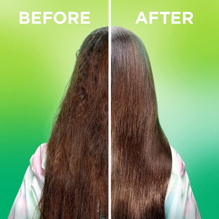 Garnier Fructis Sleek & Shine Moroccan Sleek Oil Treatment, 3.75 fl. oz.