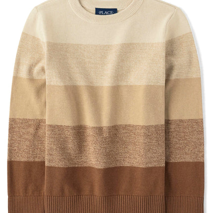 The Children's Place Big Boys' Kid Long Sleeve Swe