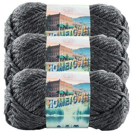Lion Brand Yarn 135-150-3 Yarn, 3-Pack, Chicago Ch