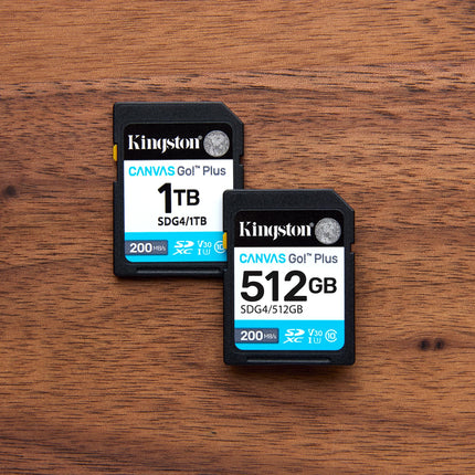 Kingston Canvas Go Plus SDXC Memory Card Gen4 200MB/s C10 UHS-I U3 V30 64GB-SDG4/64GB