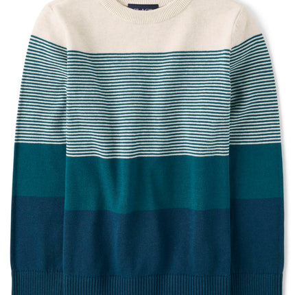 The Children's Place Big Boys' Kid Long Sleeve Swe