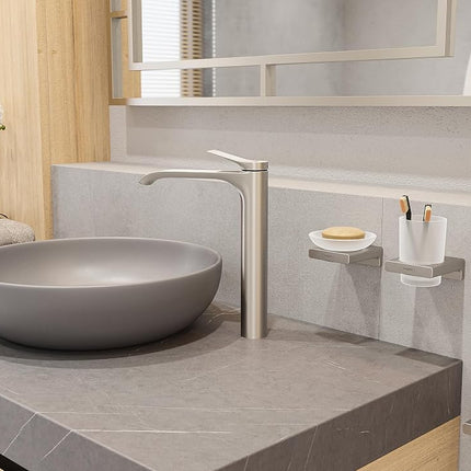 hansgrohe 41772820 AddStoris Toilet Paper Brushed Nickel GPM Roll Holder with Shelf
