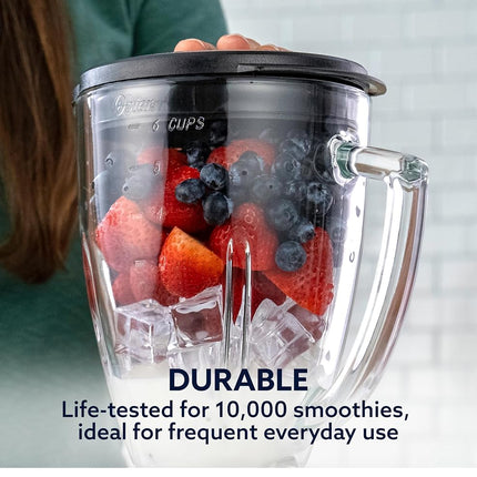 Oster Blender