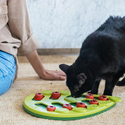 Petstages Nina Ottosson by Buggin' Out Puzzle & Play - Interactive Cat Treat Puzzle