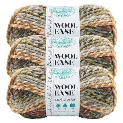 Lion Brand Yarn 640-612-3 Fil, Coney Island, lot de 3