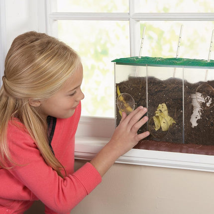 Learning Resources Now You See It, Now You Don't See Through Compost Container