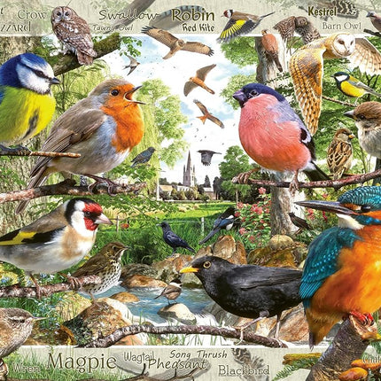 Ravensburger Our Feathered Friends 1000 Piece Jigs