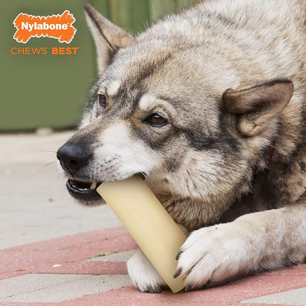 Nylabone Power Chew Marrow Bone Alternative Dog Chew Toy
