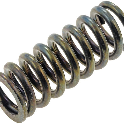 Dorman 38436 Door Hinge Spring