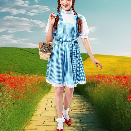 Rubies Official 887378 Wizard of Oz - Dorothy Costume - Teen - Blue/white Halloween