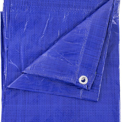 Kotap 30-ft x 30-ft General Purpose Blue Poly Tarp, Item: TRA-3030