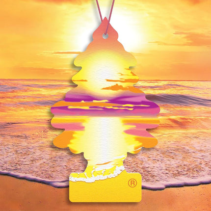 Little Trees Air Fresheners Car Air Freshener. Hanging Tree Provides Long Lasting Scent for Auto or Home. Sunset Beach, 24 Air Fresheners