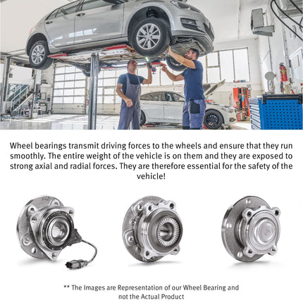 Schaeffler 102013 Hub Assembly