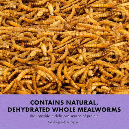 Zilla Reptile Food Munchies Mealworms for Pet Bearded Dragons, Leopard Geckos, Chameleons, Large Tropical Fish & Birds, 3.75-Ounce