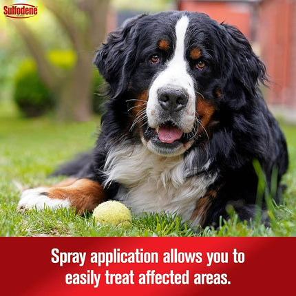 Sulfodene Medicated Hot Spot & Itch Relief Spray for Dogs, 8 oz