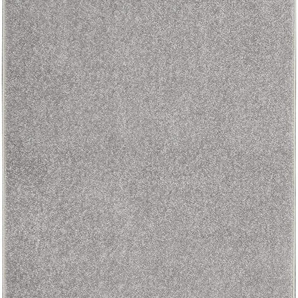 Nourison Essentials Indoor/Outdoor Silver Grey 2' x 4' Area Rug, Easy Cleaning, Non Shedding, Bed Room, Living Room, Dining Room, Backyard, Deck, Patio (2x4)