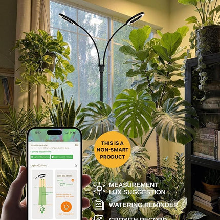 GLOWRIUM Grow Light with Stand,2-Head LED Plant Light for Indoor Plants, Full Spectrum Grow Lamp, 3/9/12H Timer, 6 Dimmable Levels, 3 Lighting Mode, Adjustable Height White 36W