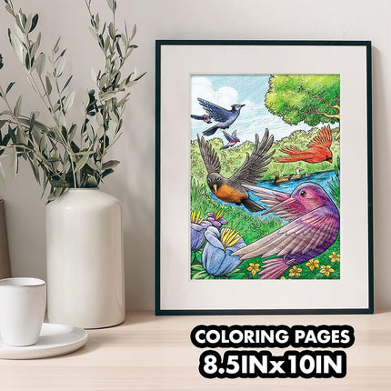 Crayola Bird Coloring Book (40pgs), Adult Coloring Pages, 8.5 x 10, Stress Relieving Coloring, Mindfulness Activity for Adults