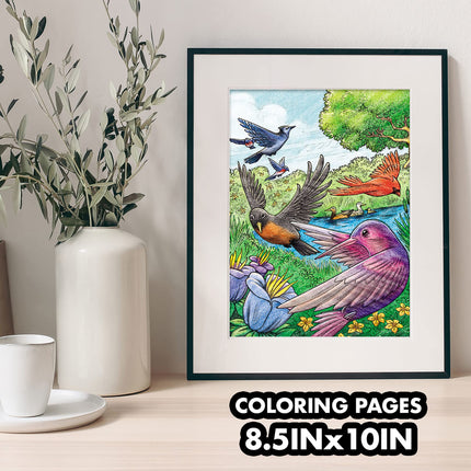 Crayola Bird Coloring Book (40pgs), Adult Coloring Pages, 8.5 x 10, Stress Relieving Coloring, Mindfulness Activity for Adults