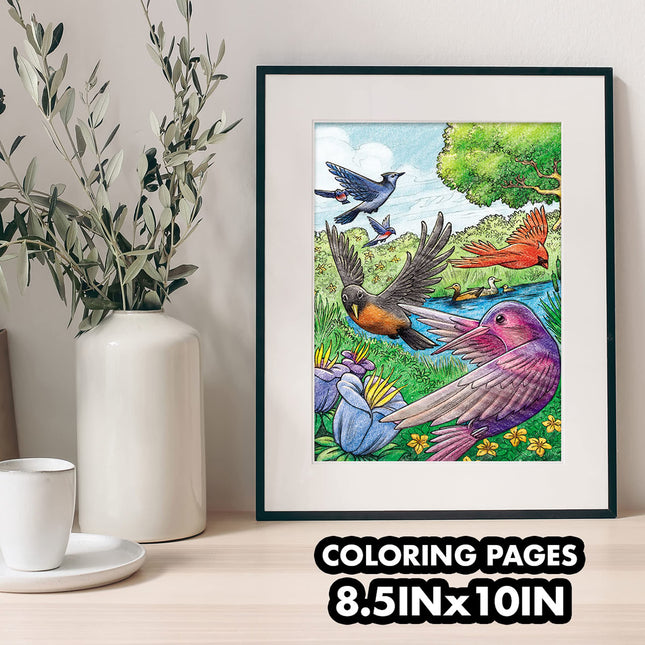 Libro de colorear de aves Crayola (40 páginas), páginas para colorear para adultos, 8.5 x 10, para aliviar el estrés, actividad de atención plena para adultos