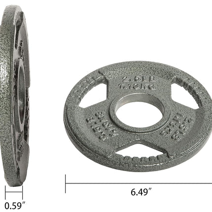 Sporzon! Cast Iron Olympic 2-Inch Grip Plate Weight Plate for Strength Training, Weightlifting and Crossfit, Single, Gray