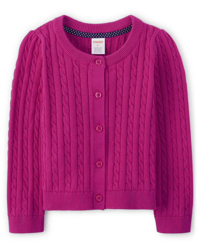 Gymboree Girls and Toddler Long Sleeve Cable Knit 