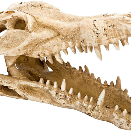 Penn-Plax RR1065 Crocodile Skull Animal Resin Ornament for Fish Tanks 9L x 4W x 5.5H