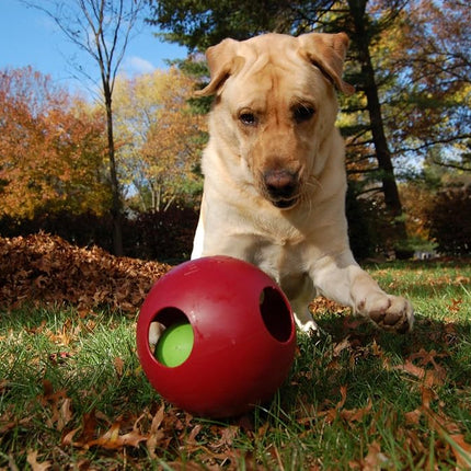 Jolly Pets Teaser Ball Dog Toy, 20 cm, Red